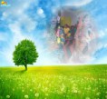 /album/photogallery/adornpic-jpg/